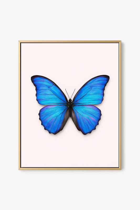 Wings of Becoming・Butterfly Reverie
